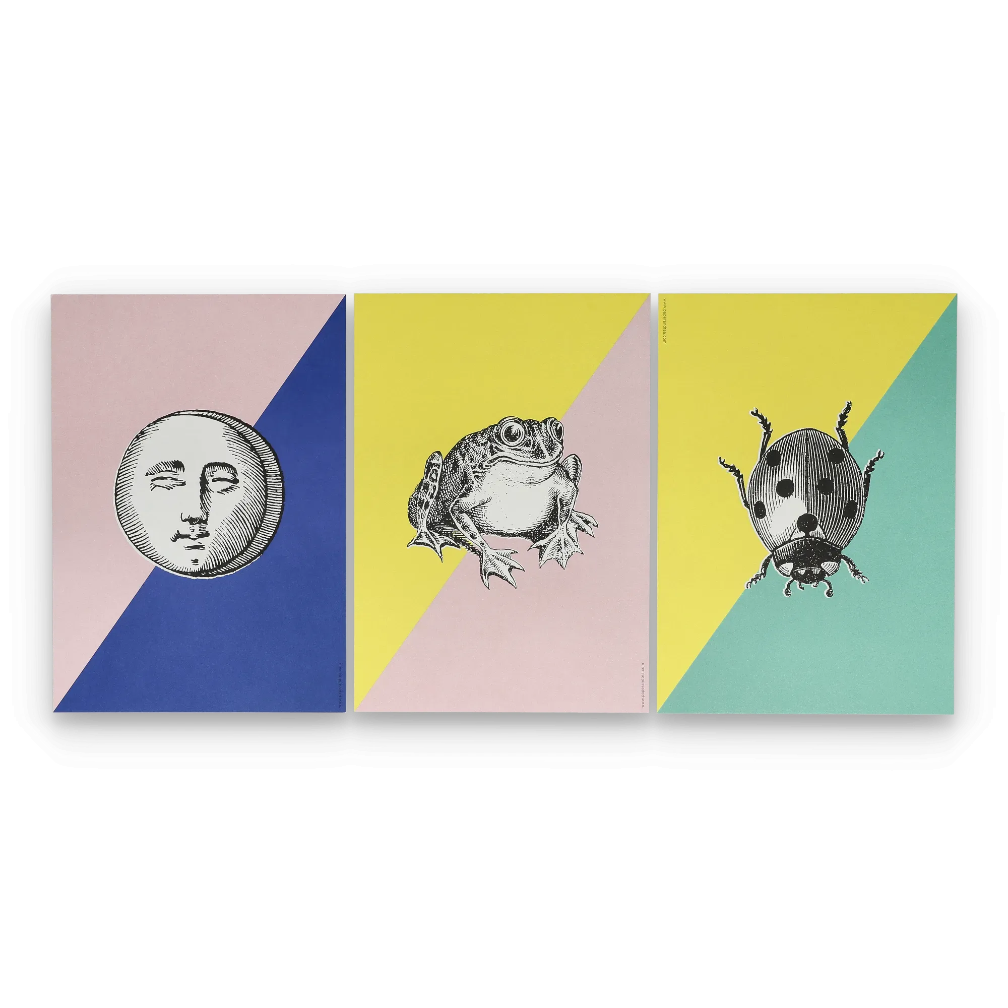 Drei Poster mit schwarz-weiß Illustrationen von Mondgesicht, Frosch und Marienkäfer.