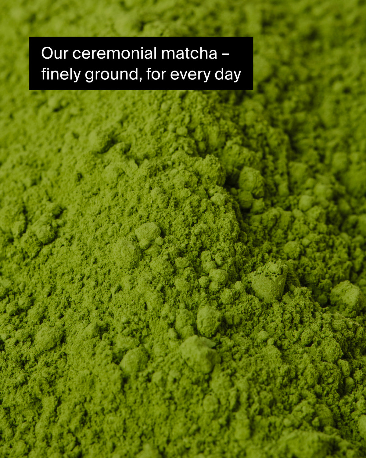 Leuchtend grünes, zeremonielles Matcha-Pulver in Nahaufnahme