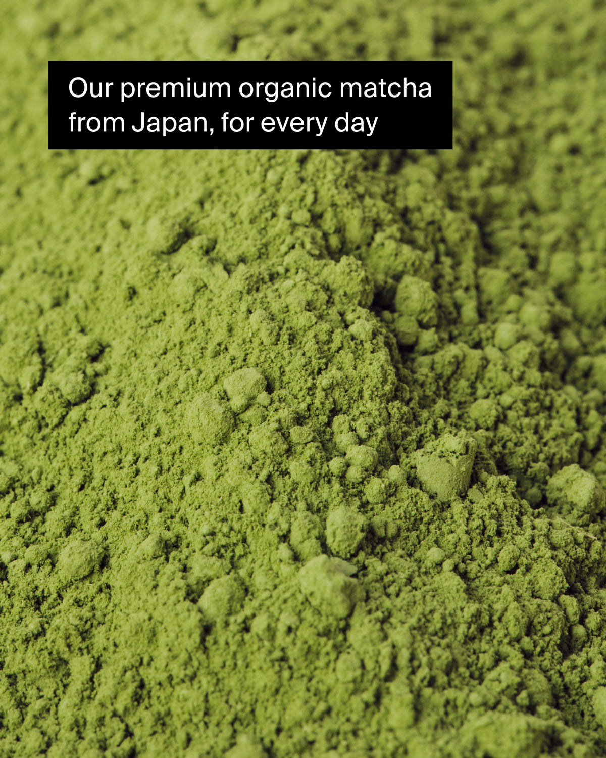 Lebhaft grünes, organisches Matcha-Pulver aus Japan in Nahaufnahme mit feiner Textur.