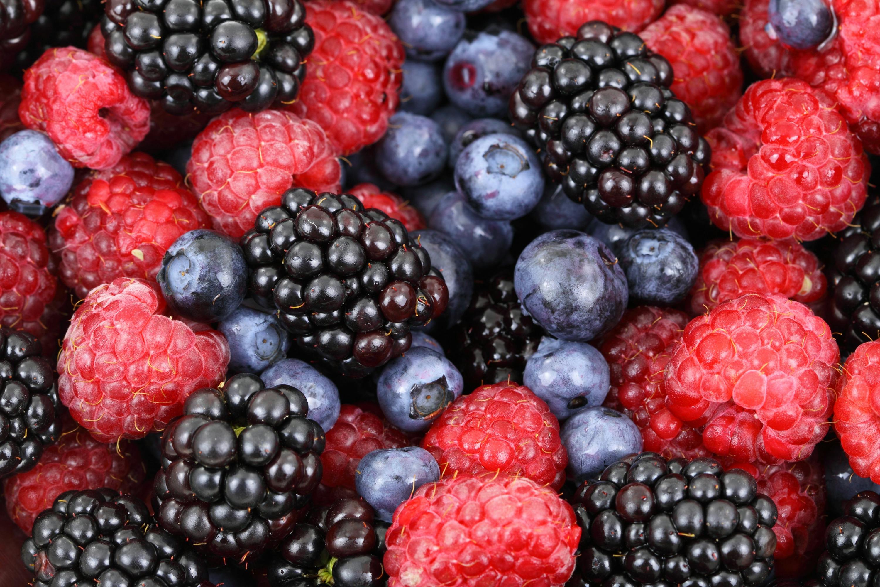 Frische Beerenmischung mit glänzenden Brombeeren, roten Himbeeren und blauen Heidelbeeren
