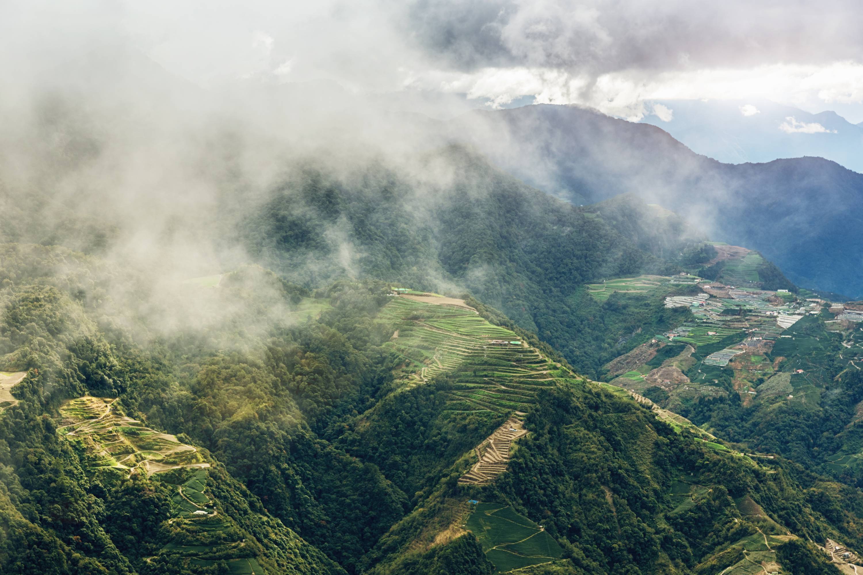 Idyllische Berglandschaft mit terrassierten Feldern in Nantou, Taiwan