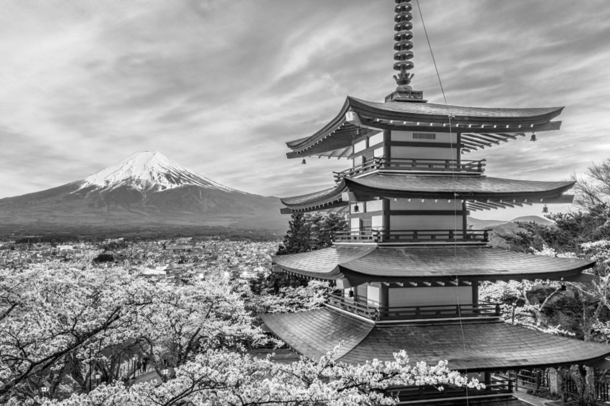 Mehrstöckige Pagode und blühende Kirschbäumen vor Berg Fuji