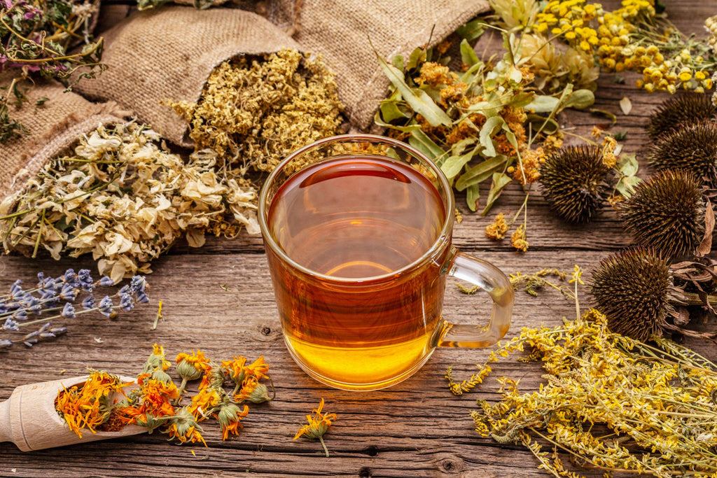 Tisane: Explore the World of Herbal Infusions 🍵