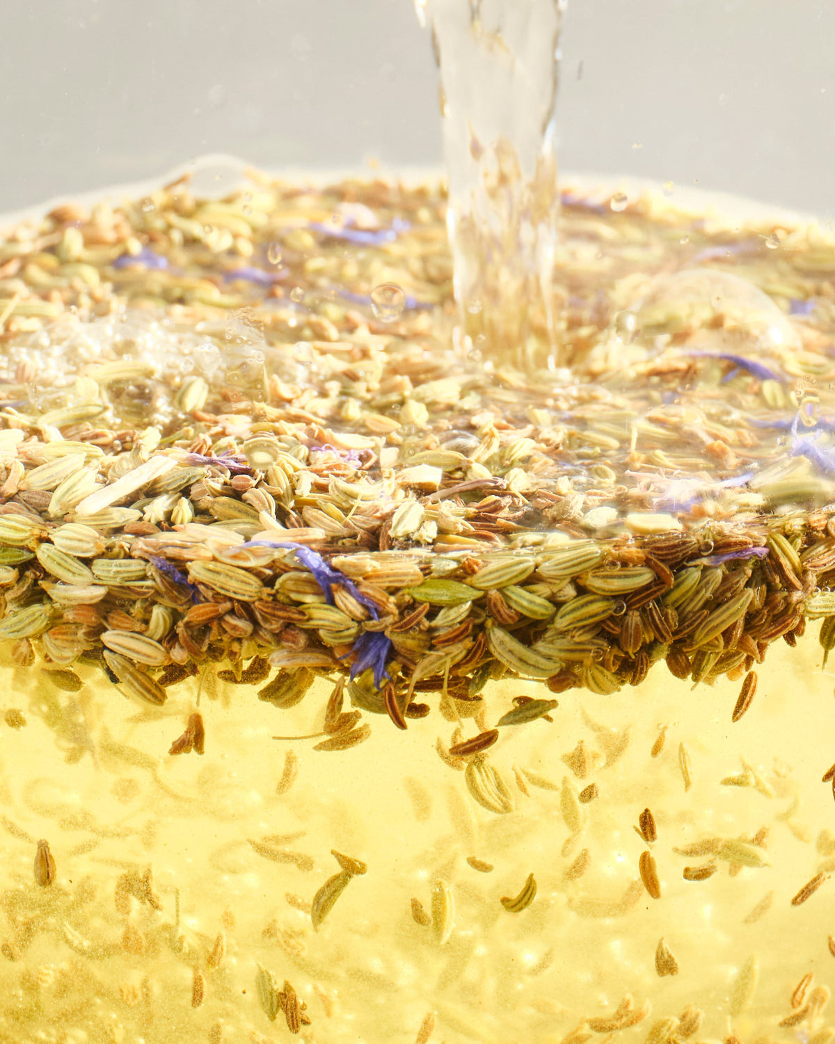 Goldgelber Tee wird über getrocknete Samen und violette Blütenblätter gegossen, mit Blasen auf der Oberfläche.