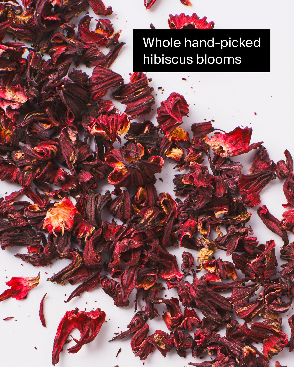 Getrocknete Hibiskusblüten in leuchtendem Rot auf weißem Hintergrund, P&T Teequalität