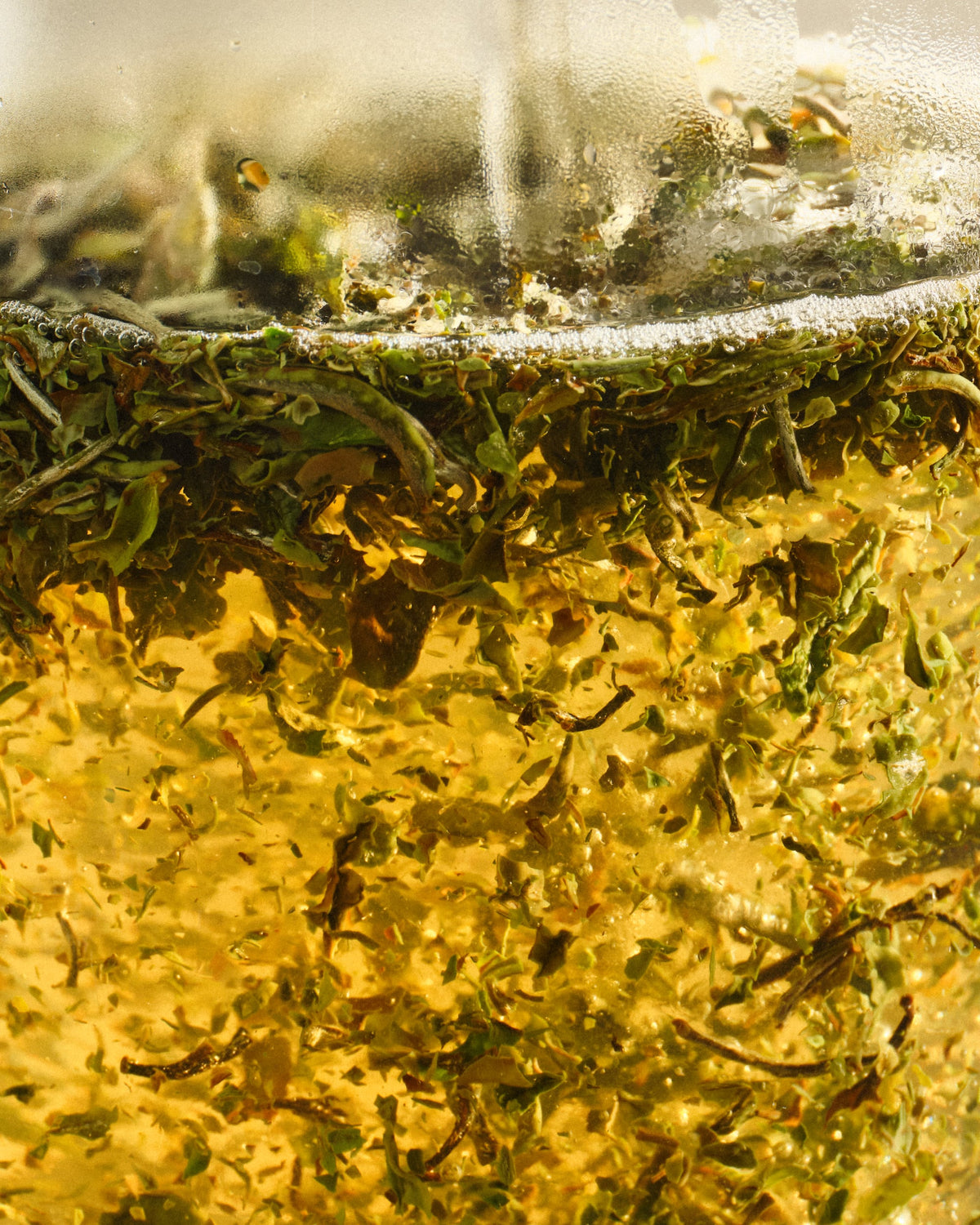 Nahaufnahme von Teeblättern in heißem Wasser mit aufsteigenden Bläschen und goldbraunem Aufguss.